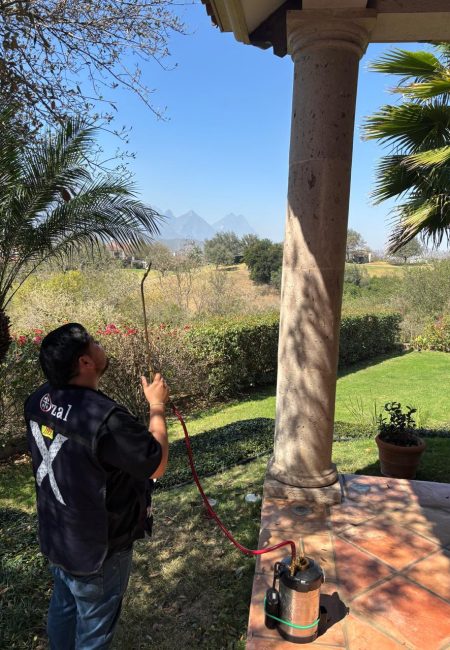 fumigaciones en monterrey
